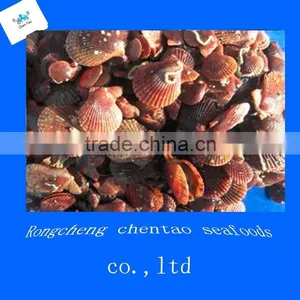 Local Products Frozen Boiled Mussel Meat Seafood thumbnail-1