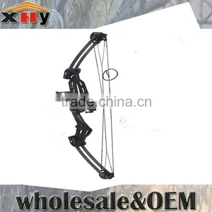 China Hot Sale Compound Bow M-10004 for Hunting thumbnail-1