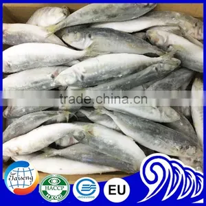 Useful for Canned Horse Mackerel thumbnail-1