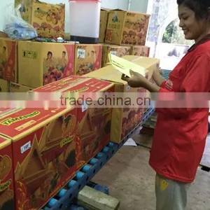 Sweet Tamarind thumbnail-4
