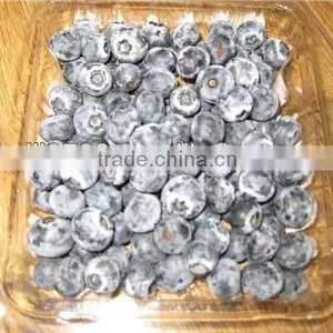 Frozen Blueberry Fruit--iqf Blueberries Wild Fresh Blueberries Wholesale thumbnail-4