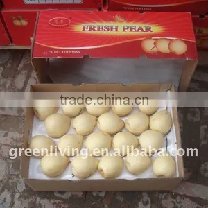 Taste Best Fresh ya Pear (white Colour) thumbnail-1