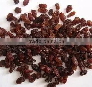 Raisin thumbnail-1