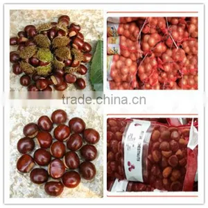2015 New Corp Hot Sale 30-40/40-60/90-110 Sweet Organic Fresh Chestnuts thumbnail-1