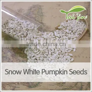 First Grade Health Snow White Pumpkin Seed thumbnail-1