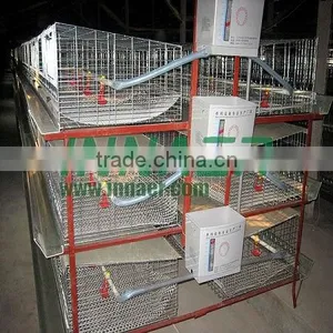 Factory Supply Broiler Rearing Cage for Poultry Farm thumbnail-1