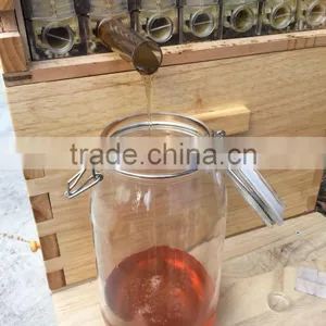 2016 New Design Honey Automatic Flow Bee Hive Kit thumbnail-5