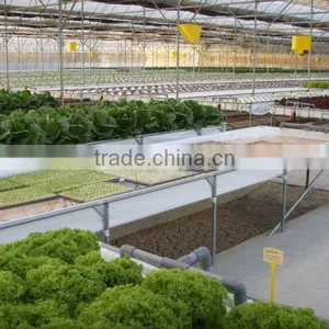 Nft Hydroponics thumbnail-3