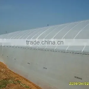 Greenhouse Kenya thumbnail-2