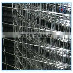Low Price 1/2 ,1/4 Inch Hot Dipped Galvanized Welded Wire Mesh Made in China thumbnail-3