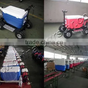2015 Best Gift Gas Cooler Scooter 43CC SX-G110 From China thumbnail-6