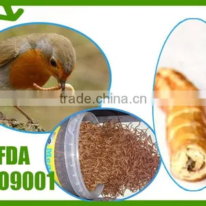 High Protein Reptiles Food ,Dried Mealworms thumbnail-1