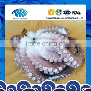 Frozen Octopus thumbnail-1