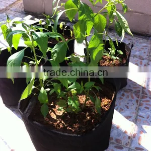 Low Cost and Top Quality Non-woven Planter Grow Pot for Strawberry and Nursery thumbnail-5