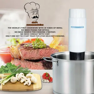 Commercial Immersion Circulator Head Precise Slow Cooker Machine Sous Vide thumbnail-2