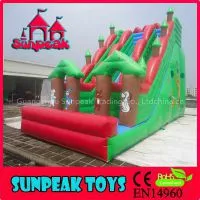 SL-1346 Commercial Used Water And Dry Inflatable Slide thumbnail-1