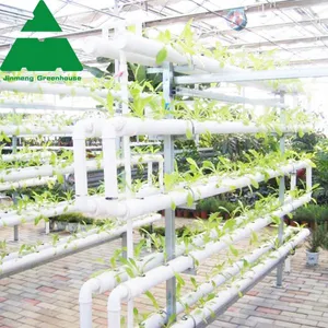 Hydroponic Agriculture PC Sheet Covering Greenhouse thumbnail-2