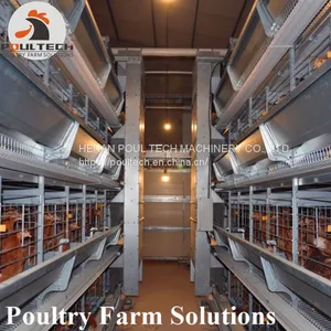 H Type Layer Chicken Chicken Cage With Full Automatic Equipment thumbnail-3