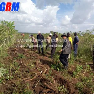 Farm Equipment Tapioca Roots Uprooting Harvesting Machines / Tapioca Harvester South America thumbnail-5