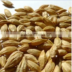 Organic Barley Milled/steamed/narley Flour thumbnail-1