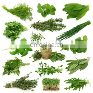 Factory Genyond Plant & Herbal Ultrasonic Solvent Countercurrent Cycle Extractor Machine Extraction Equipment thumbnail-1
