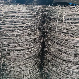 Farm Protection Barbed Wire Fence Hot Dipped Galvanized Steel Wire for Prisons thumbnail-3