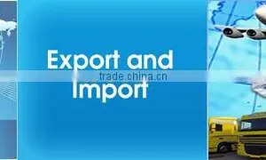 Import and Export Agent in China Import and Export Service Import and Export in India thumbnail-5
