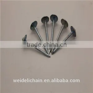 Hardware Umbrella Roofing Nails thumbnail-2