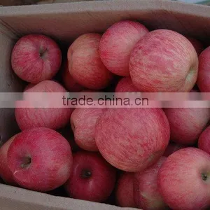Fresh Fuji Apples in China thumbnail-1