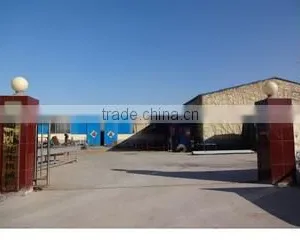 Anqiu Zhenghao Food Machinery Factory company overview - view 1 thumbnail