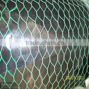 Green Pvc Coated Chicken Wire Mesh thumbnail-2