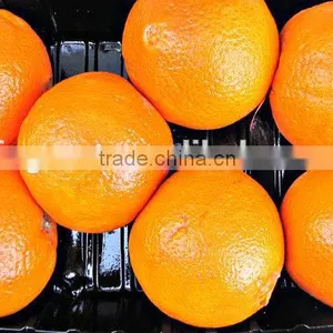 We Are Supply Fresh Navel Orange With Good Quality for Sale thumbnail-6
