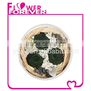 Best Selling Natural Preserved Flower thumbnail-2