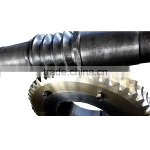 Factory Large Worm Gears for Shredders thumbnail-1