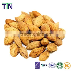 TTN 2015 Raw Almond Wholesale Exporter Price Almond for Sale thumbnail-1