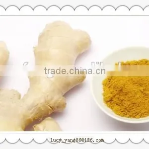 Ginger Powder Benefits of Ginger Powder Healthy Products thumbnail-4
