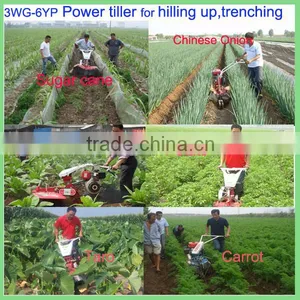 Rototiller Ridging In Sweet Potato Field thumbnail-6