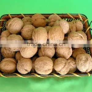 Supplying 2012 Fresh Dried Walnut of China thumbnail-1