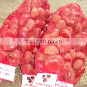 New Crop of Chestnut/low Price thumbnail-3