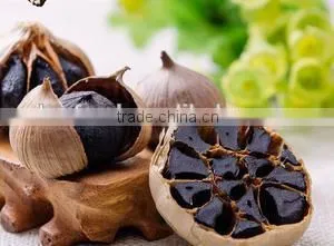 Black Garlic thumbnail-1
