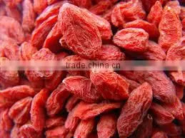 Red Goji Berry thumbnail-5