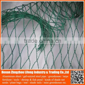 Best Selling 100% Virgin Hdpe / pe Net , Plastic Knitted Vineyard Anti Bird Netting thumbnail-1