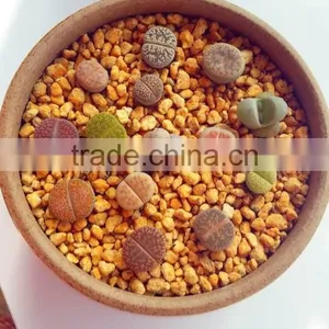 Porosity Soil/Gardening Soil/Horticulture Soil thumbnail-4