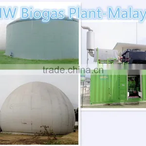 1MW New Energy Chicken Farm Waste Biogas Power Plant in Malaysia thumbnail-1