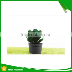 Wholesale Natural Artificial Plastic Cactus Plant thumbnail-5