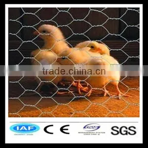 Hot Sale Chicken Wire Net 3/4 Inches thumbnail-1