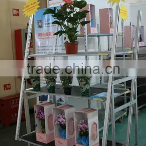 Garden Flower Display Shelf / Metal Storage Shelf thumbnail-5