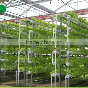 Polycarbonate Covered Greenhouse For Ecnomic Use/Agriculture Planting Greenhouse thumbnail-5