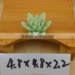 Hand Painted Making Ceramic Flowers for Valentine's Day & Wedding thumbnail-1