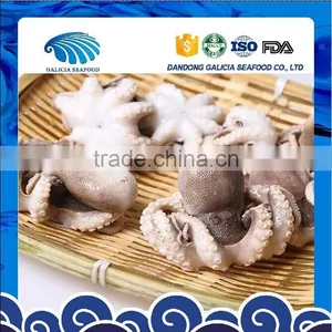 Baby Octopus thumbnail-1